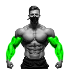 Arm Exercises