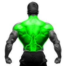 Back Exercises