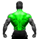 Back Exercises