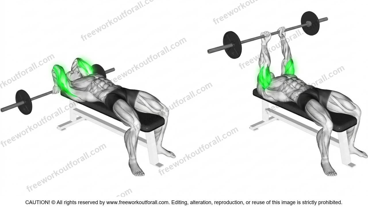Barbell Tricep Extensions