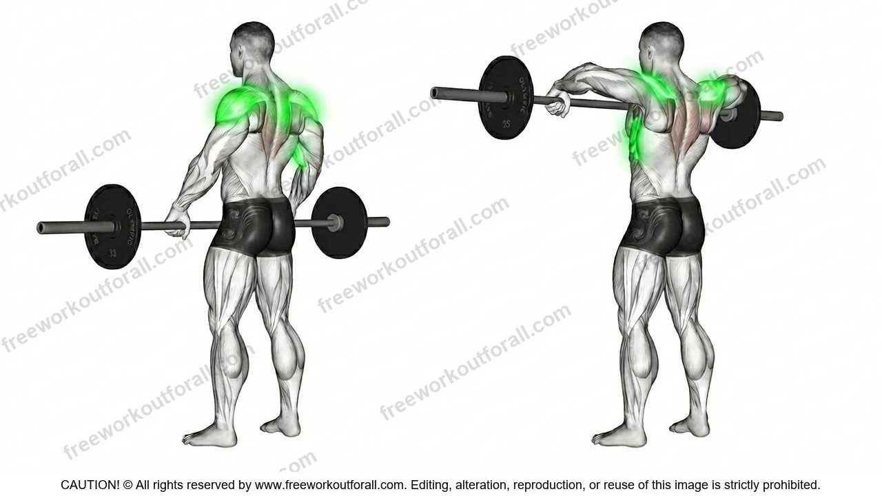 Barbell Upright Rows