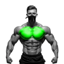 Chest Exercises