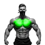 Chest Exercises