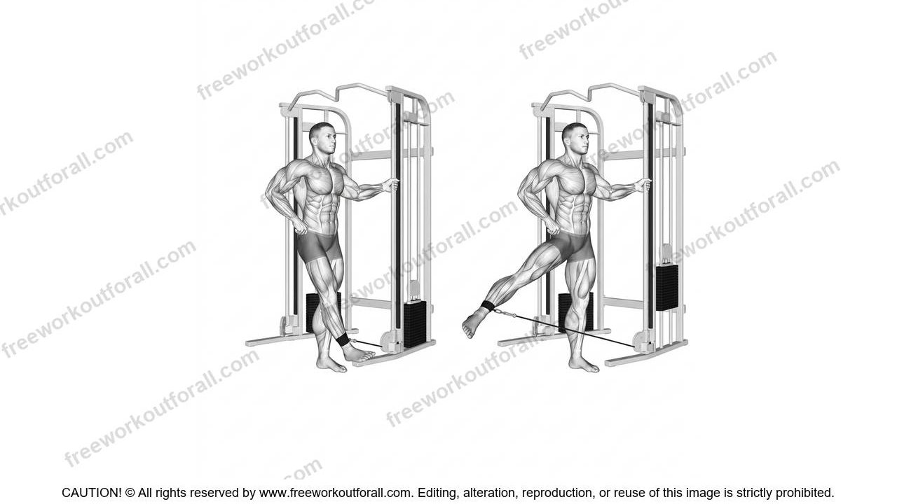 Cable Abductions
