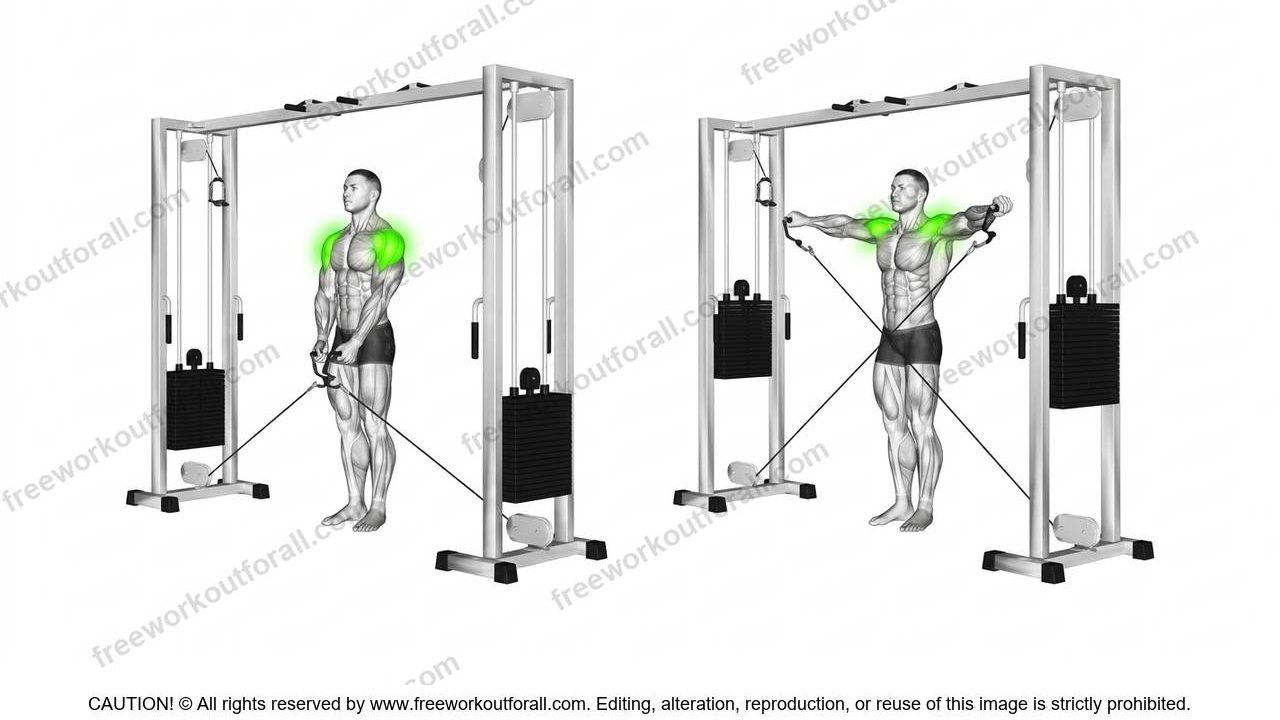Cable Lateral Raises