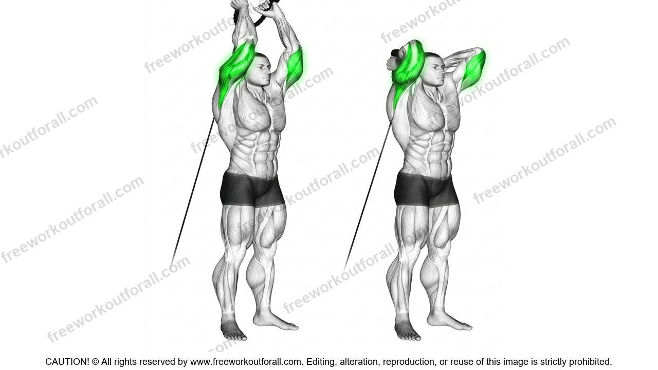 Cable Tricep Extensions