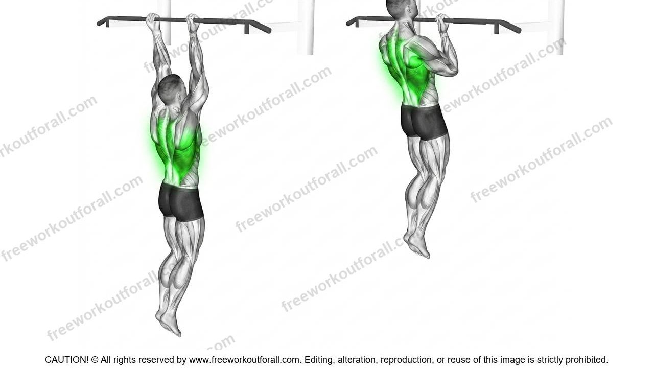 Chin Ups