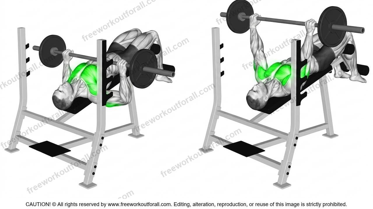 Decline Bench Press