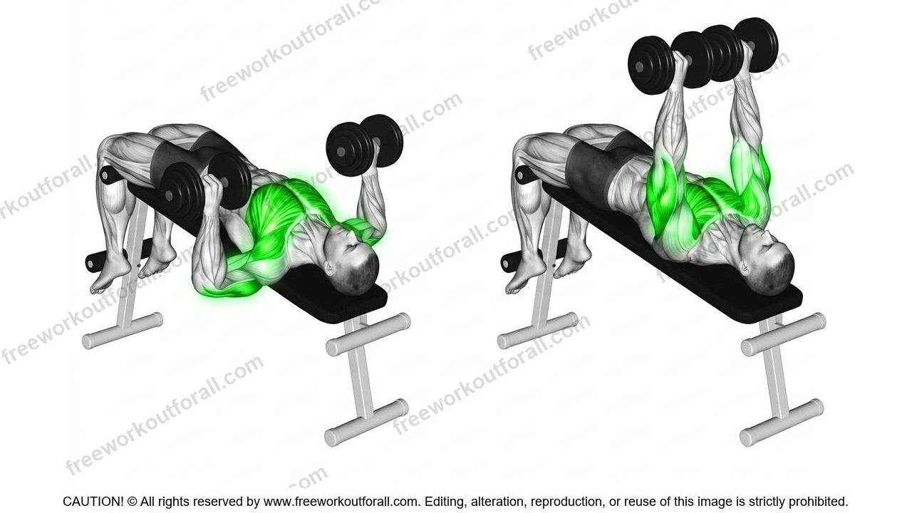 Decline Dumbbell Press