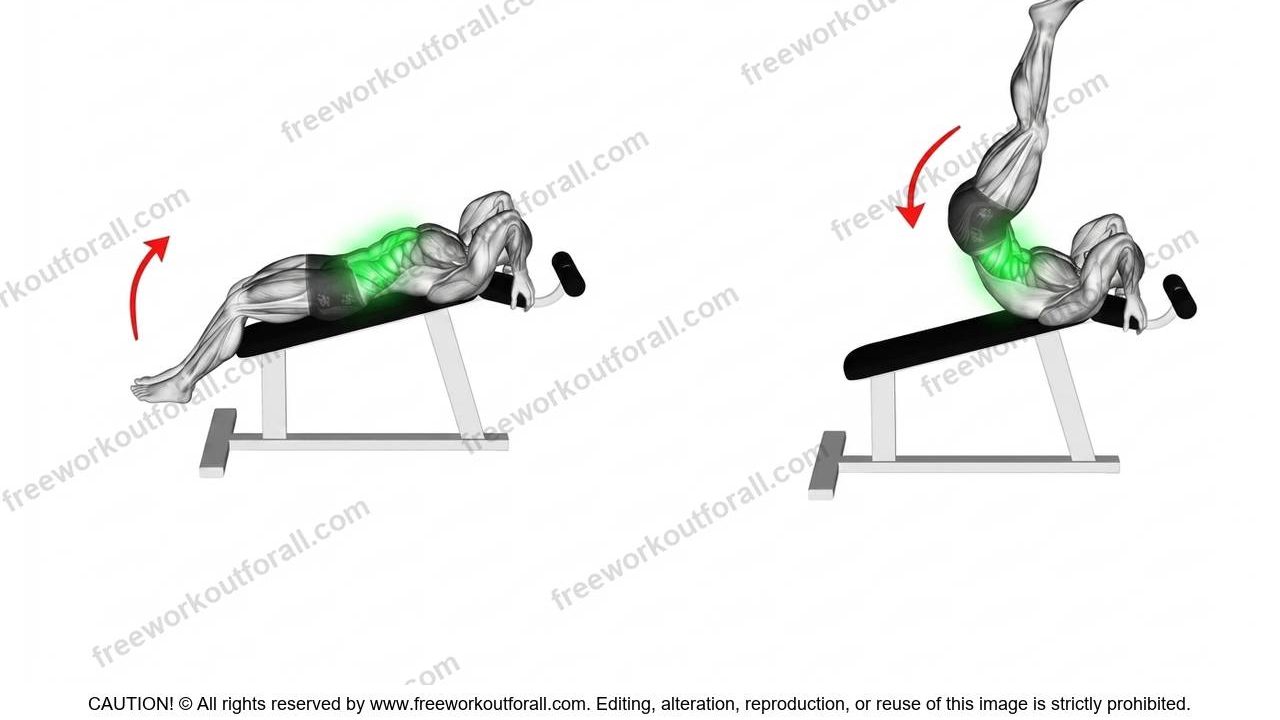 Decline Leg Raises