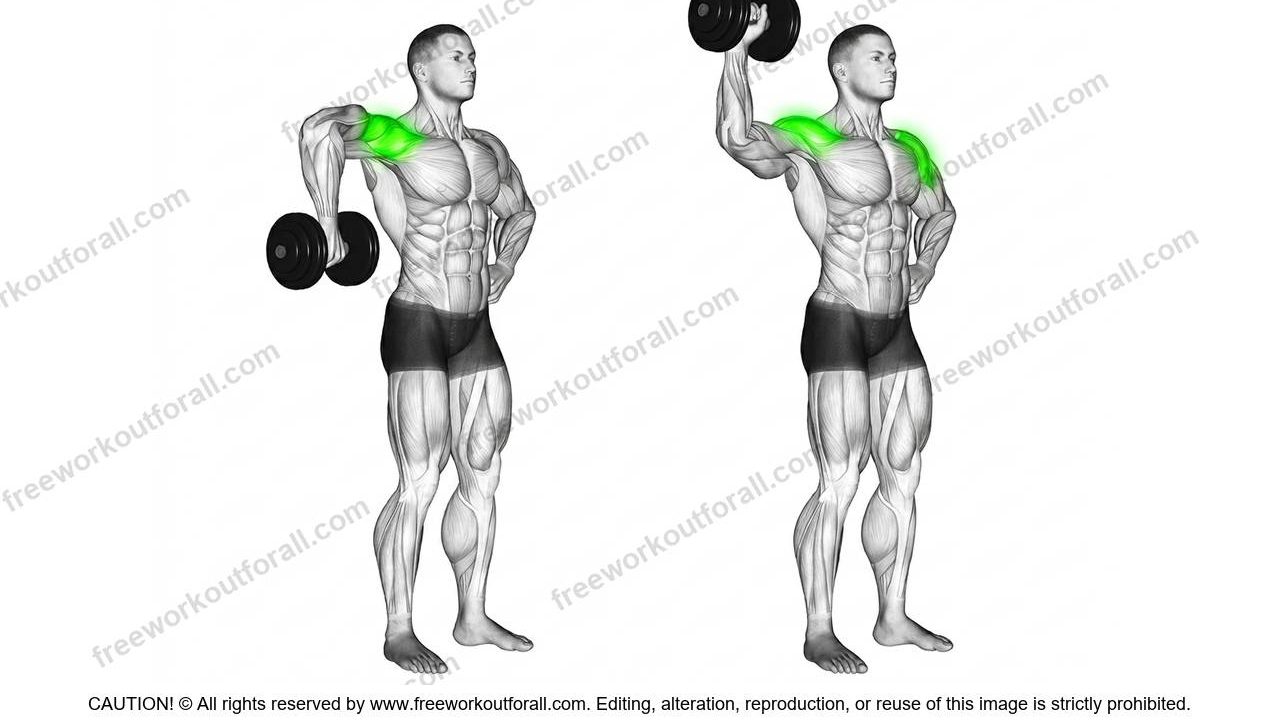 Dumbbell Cuban Rotations