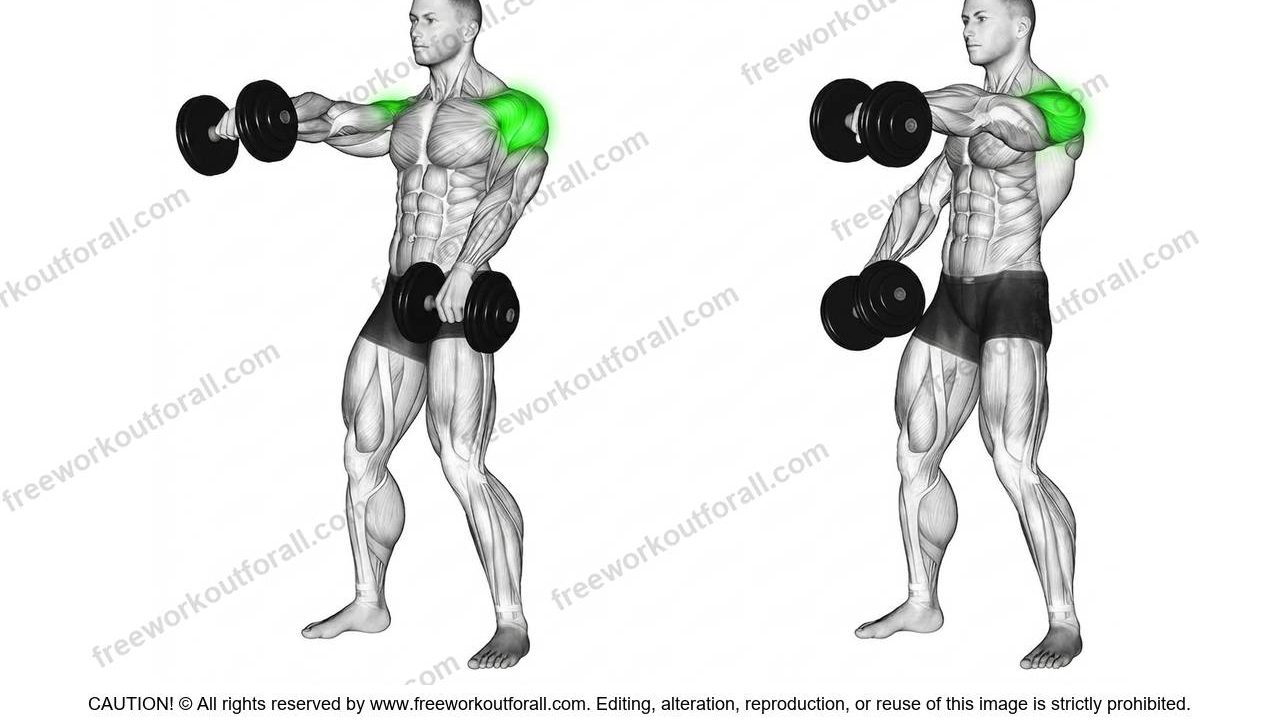 Dumbbell Front Raises