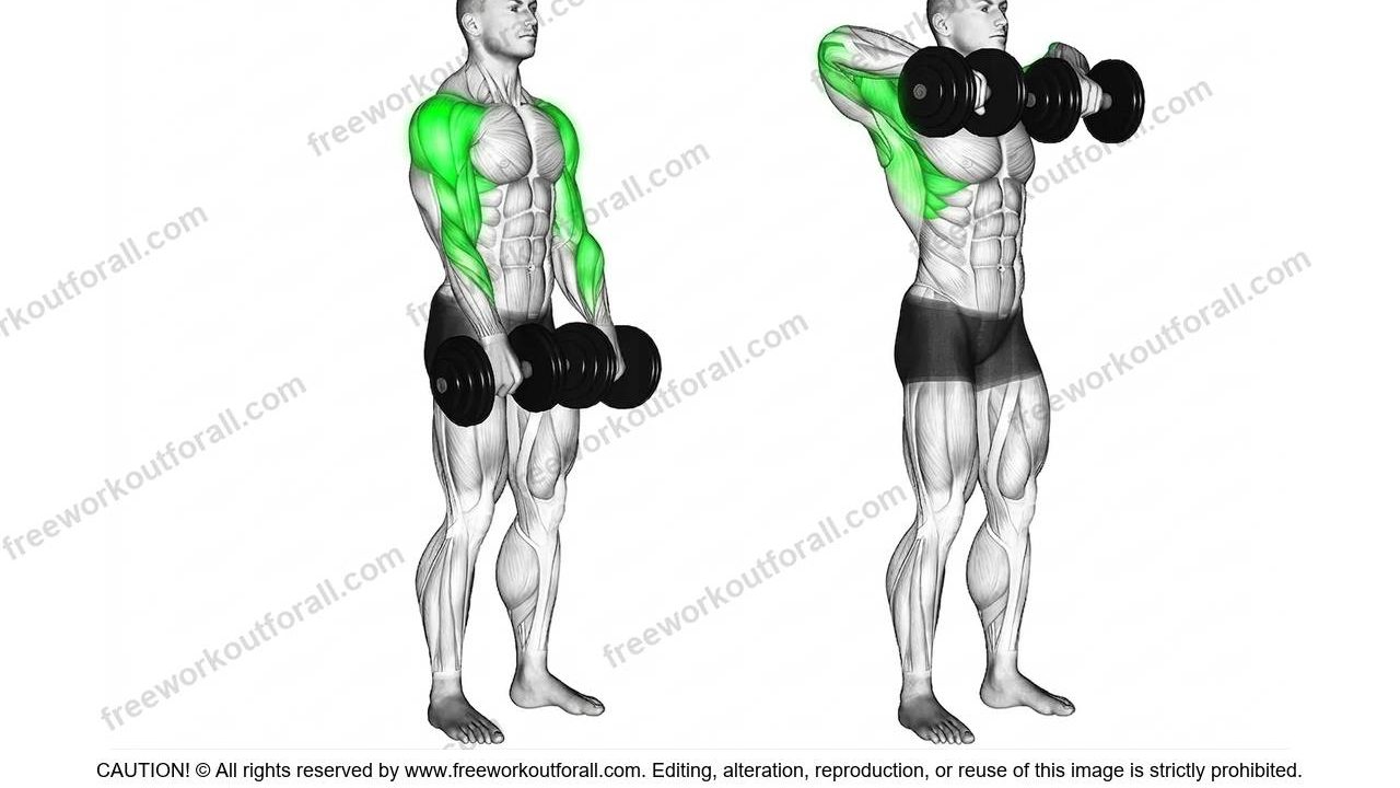 Dumbbell Upright Rows
