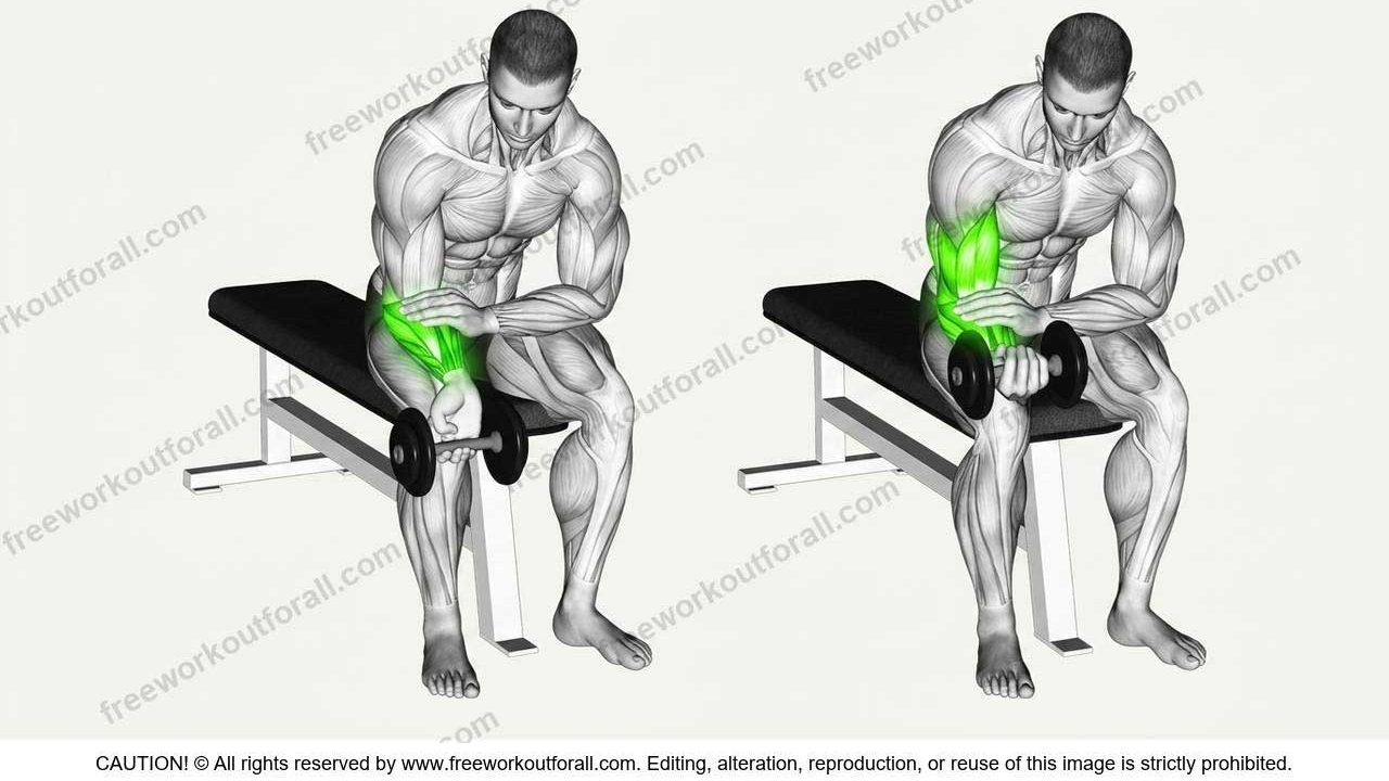 Dumbbell Wrist Curls