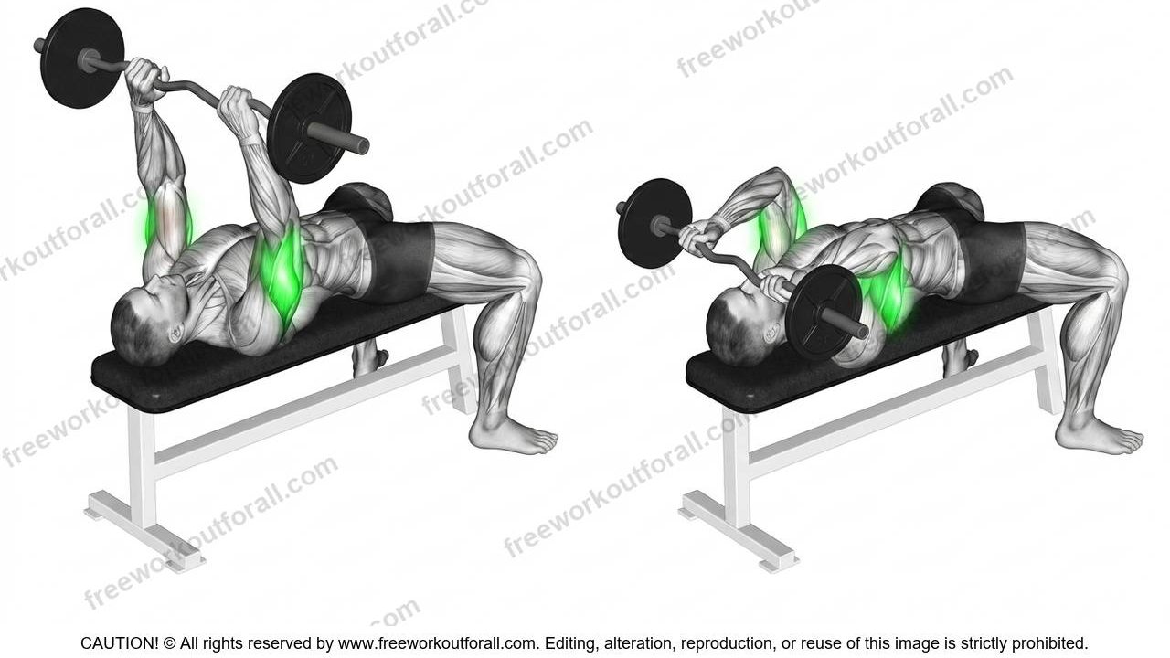 EZ Bar Tricep Extensions