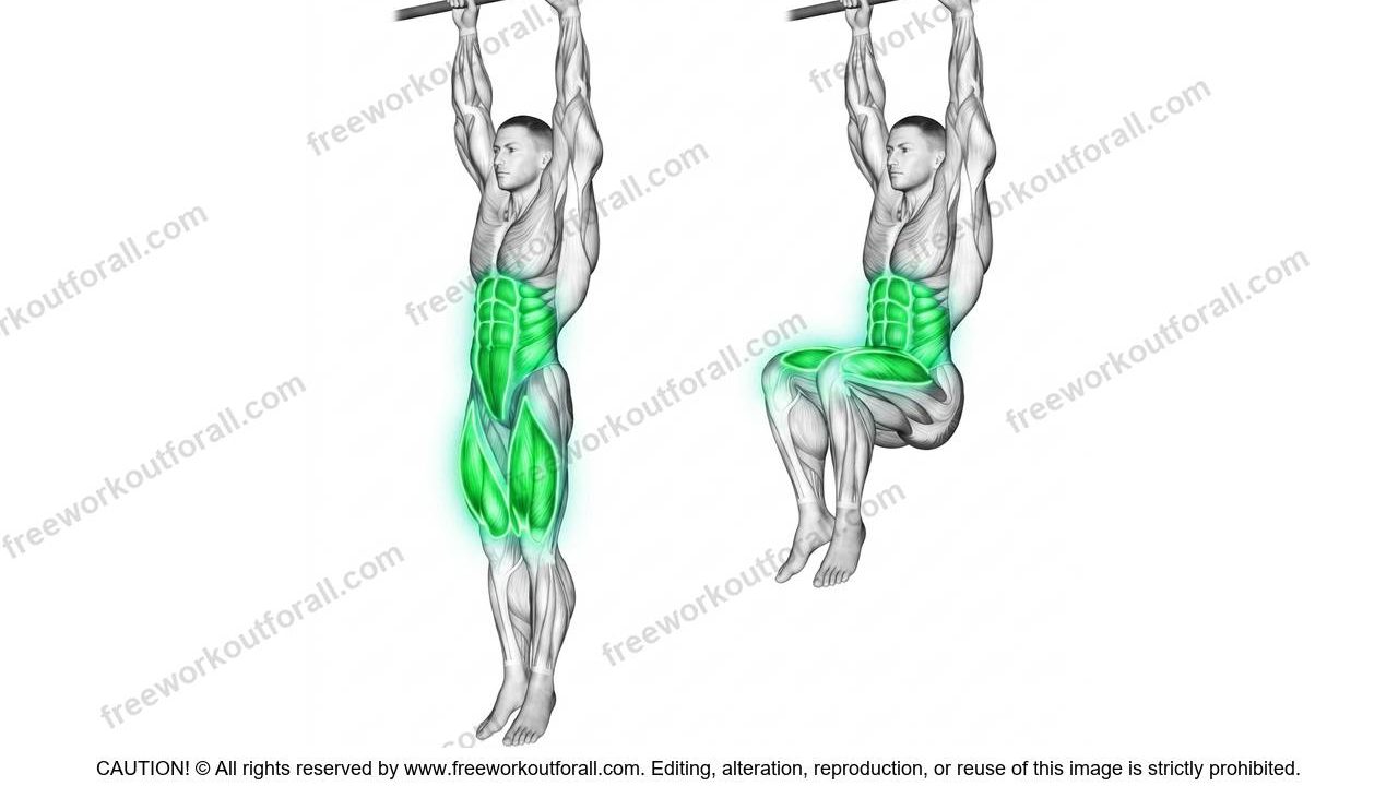 Hanging Knee Raises