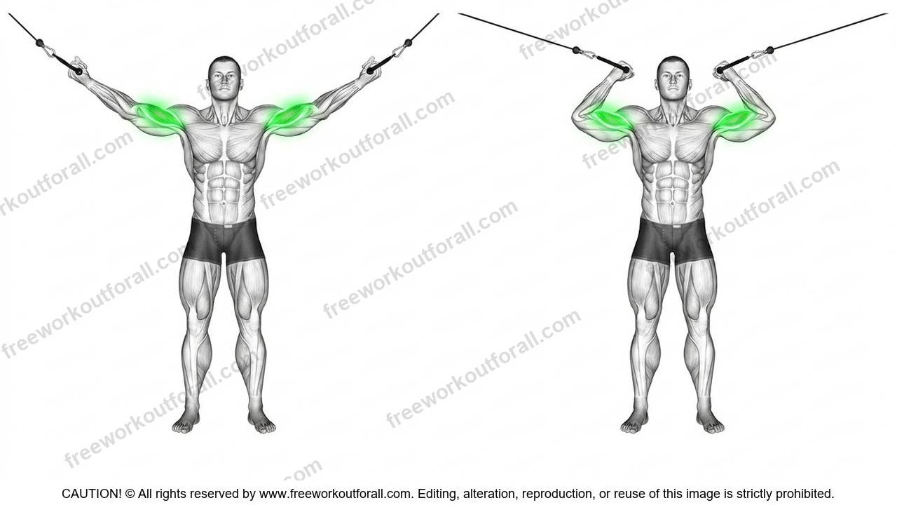 High Pulley Curls