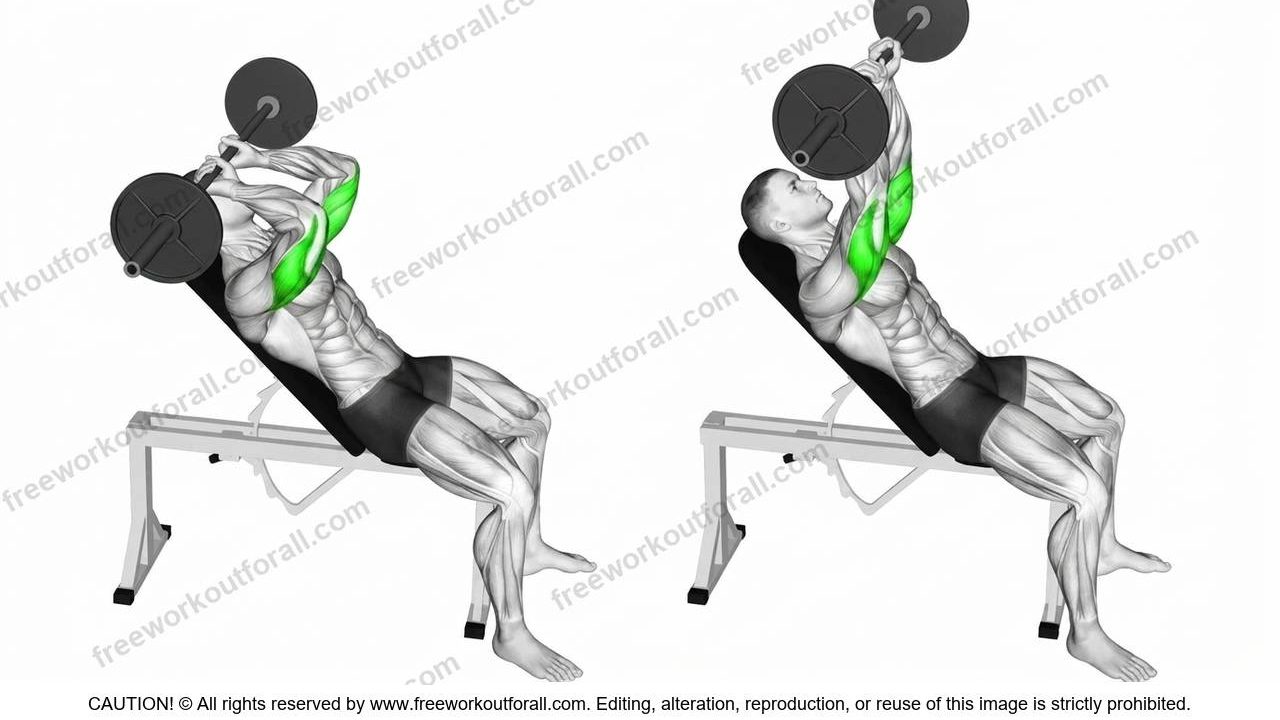 Incline Barbell Tricep Extensions