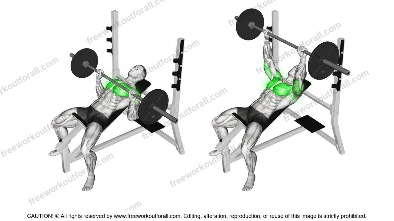 Incline Bench Press