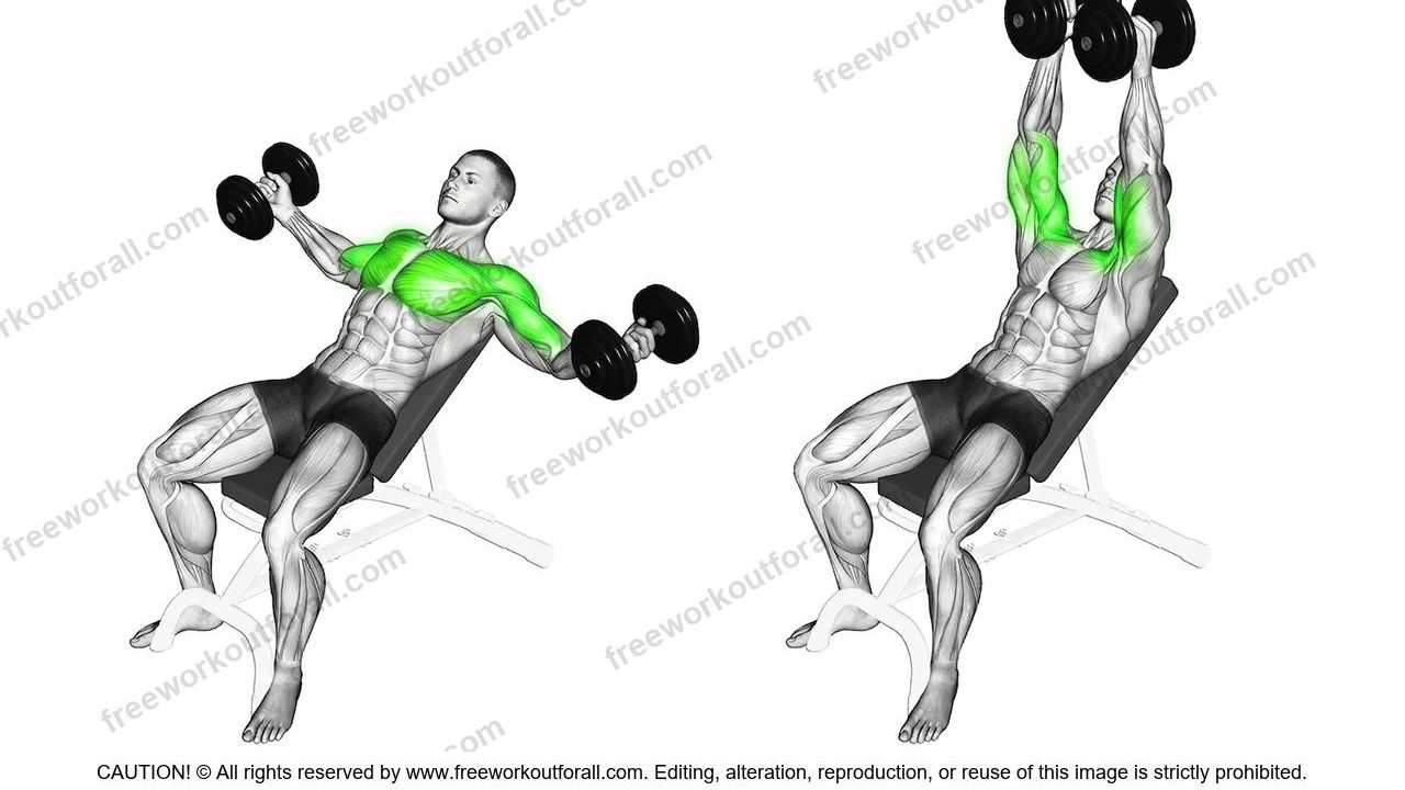 Incline Dumbbell Fly