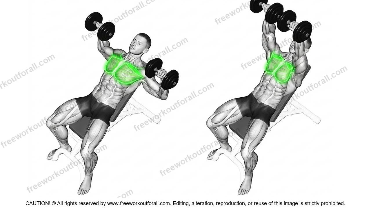 Incline Dumbbell Press
