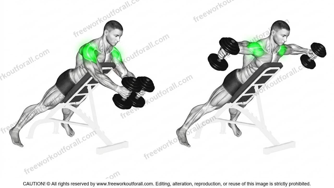 Incline Reverse Flys