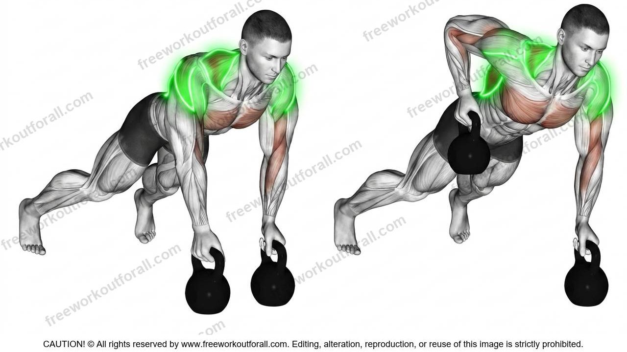 أداء تمرين التجديف بالكاتل بيل (Kettlebell Renegade Rows) لاستهداف الظهر العلوي