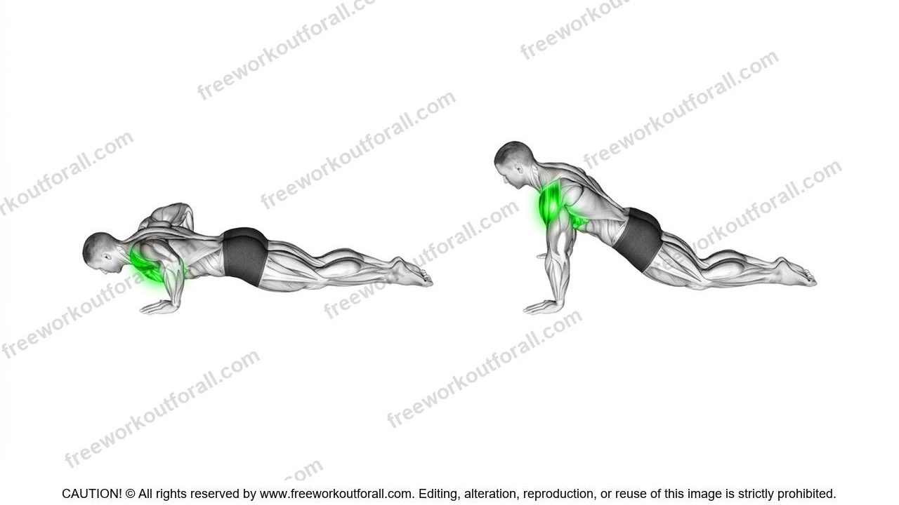 Knee Push Ups