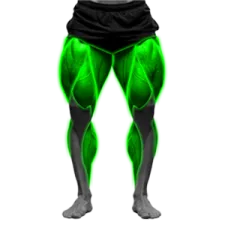 Leg Exercises