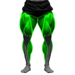 Leg Exercises