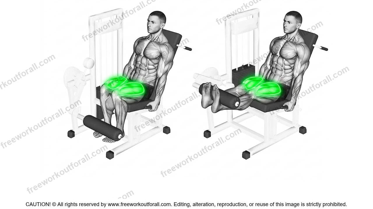 Leg Extensions