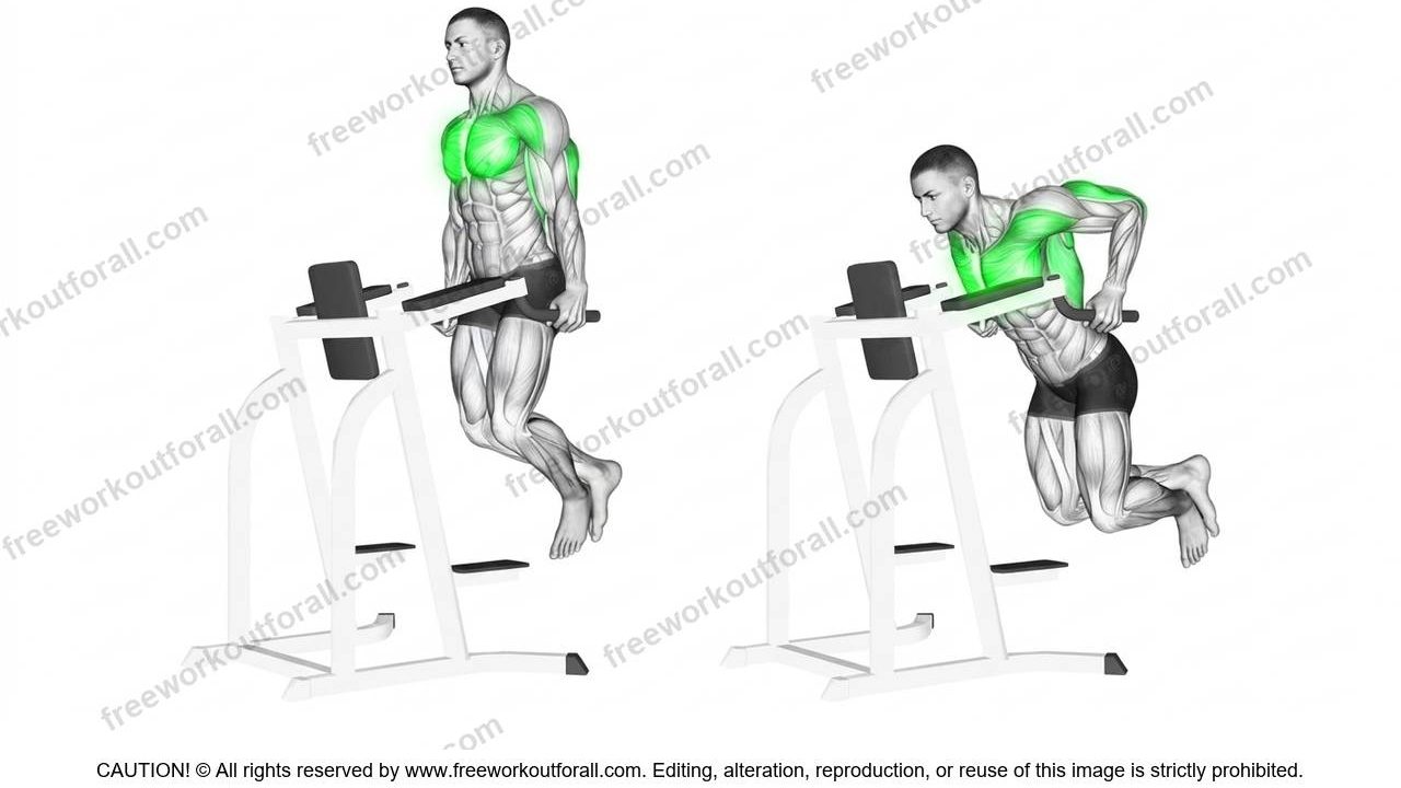 Machine Assisted Dips