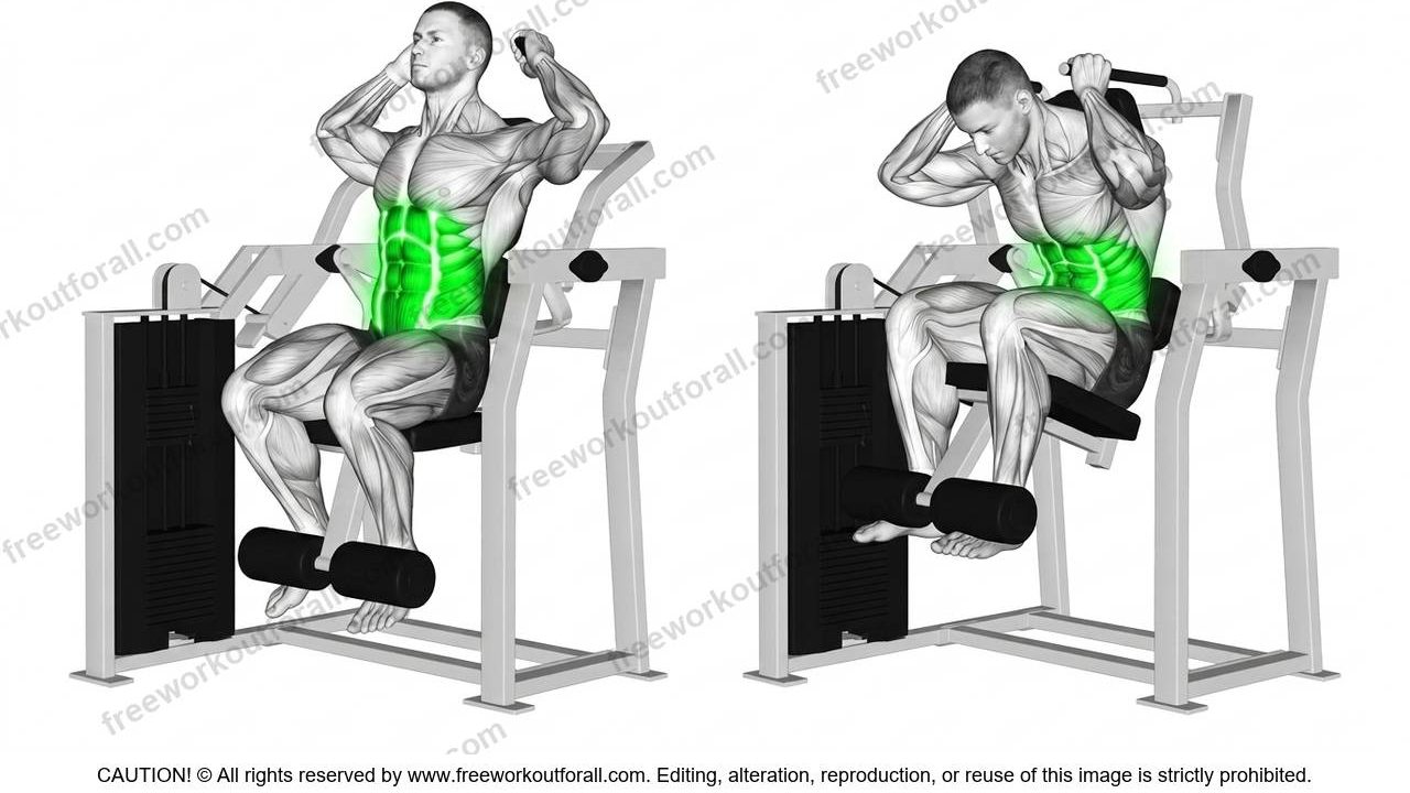 Machine Crunches