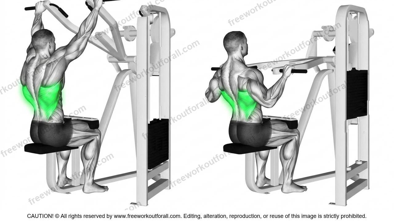 Machine Lat Pulldown