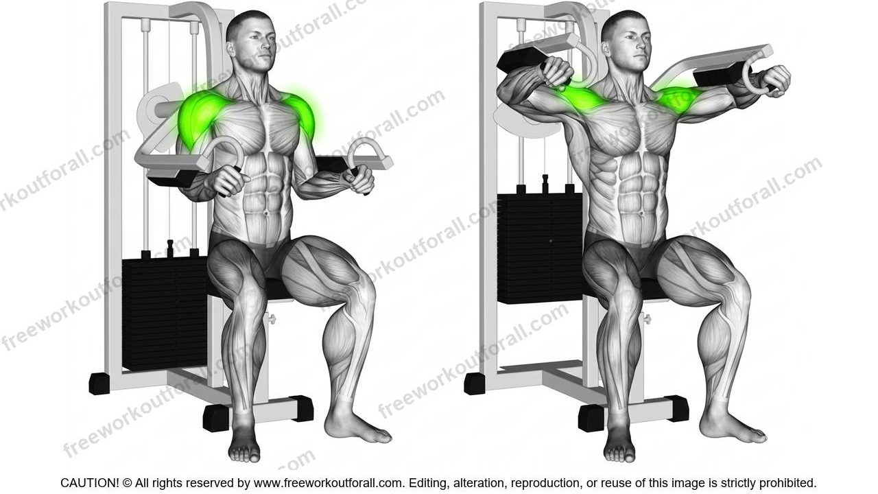 Machine Lateral Raises