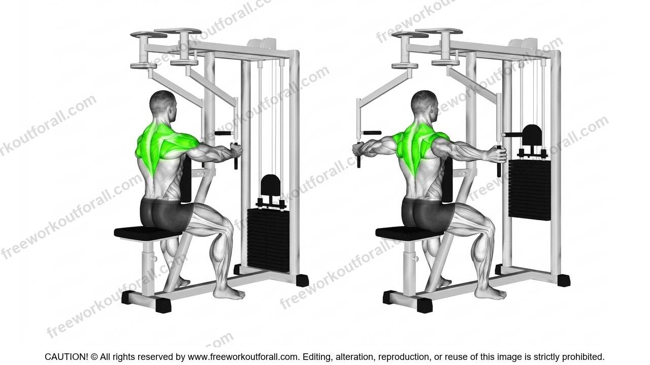 Machine Reverse Flys