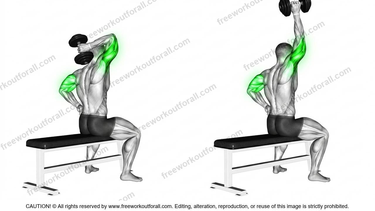 One Arm Dumbbell Extensions