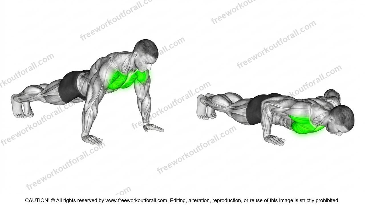 Push Ups