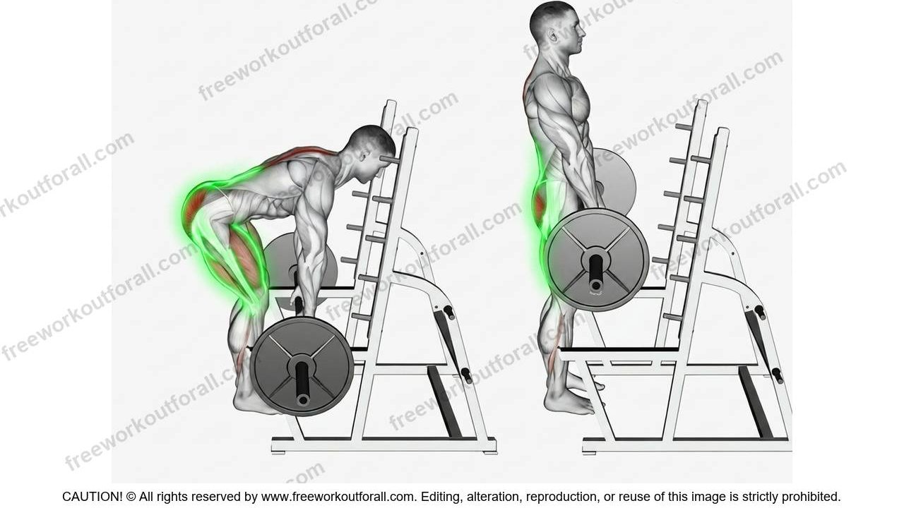 Rack Pulls