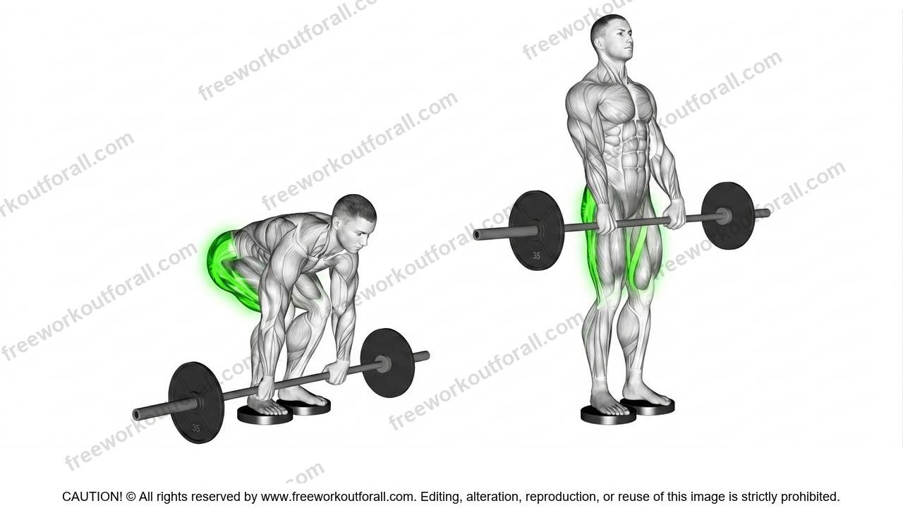 Romanian Deadlift
