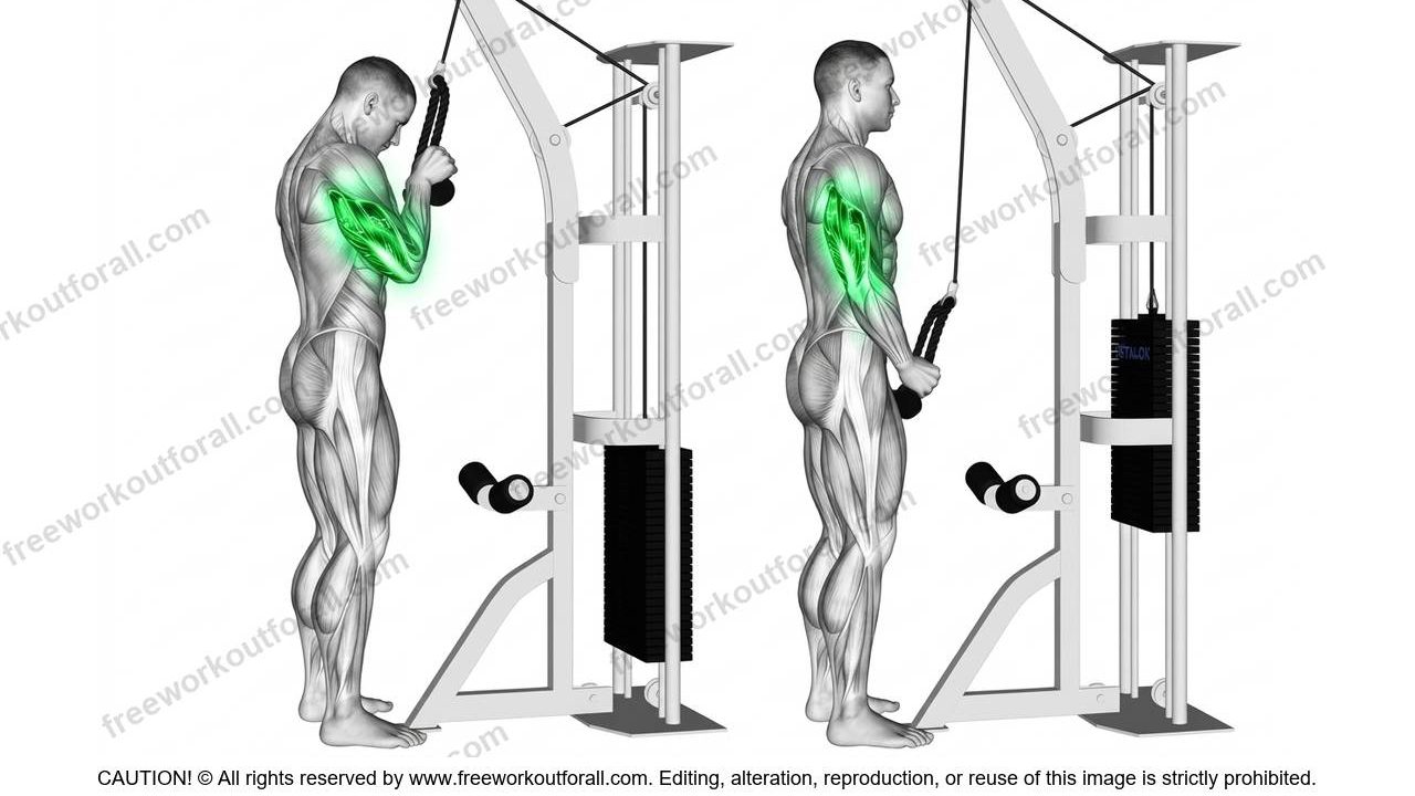 Rope Push Downs