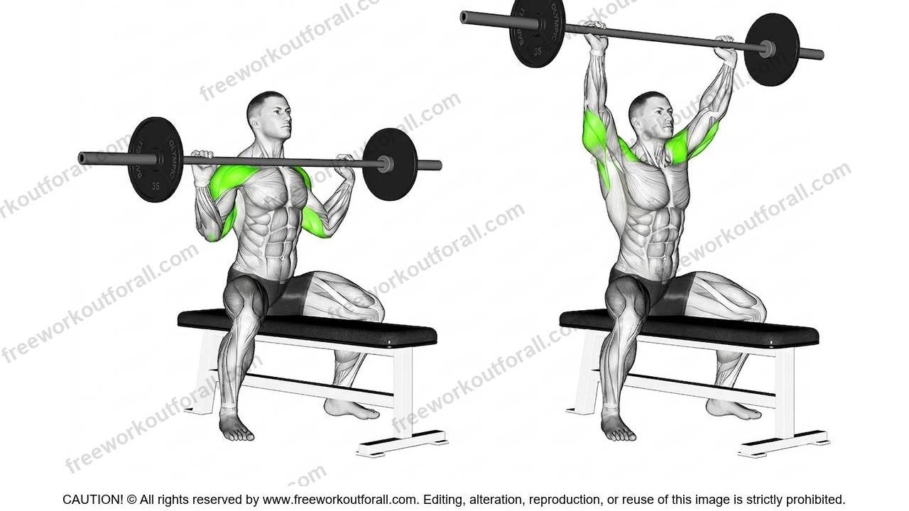 Seated Barbell Front Presses