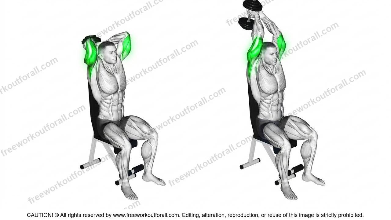 Seated Dumbbell Extensions
