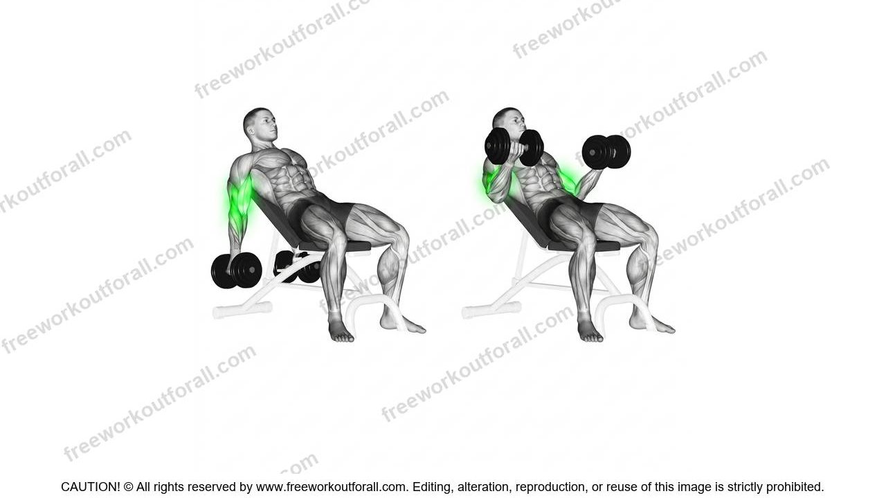 Seated Incline Dumbbell Curls