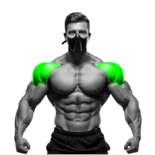 Shoulder Exercises