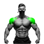 Shoulder Exercises