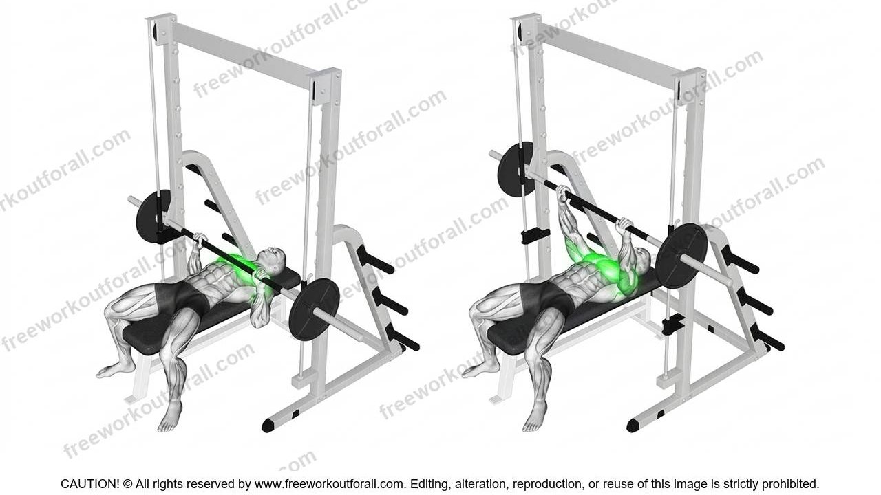 Smith Machine Press