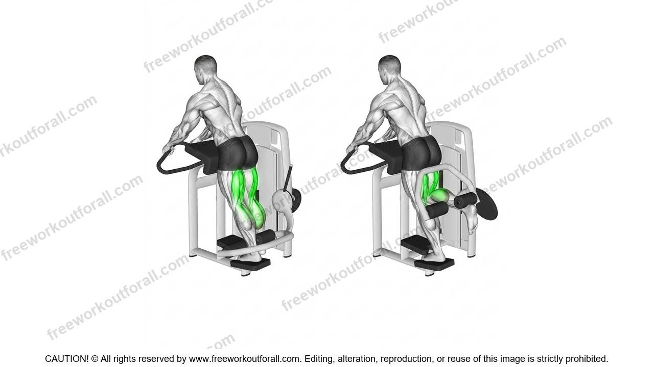 Standing Leg Curls