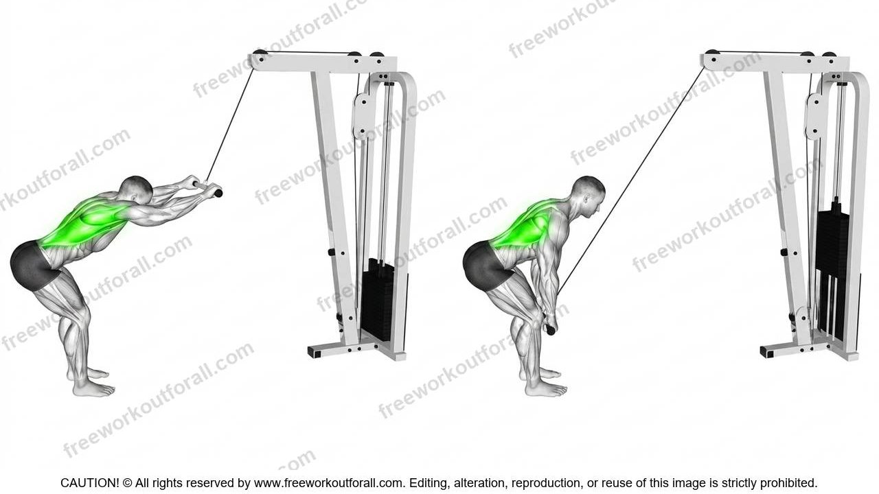 Straight Arm Lat Pulldown