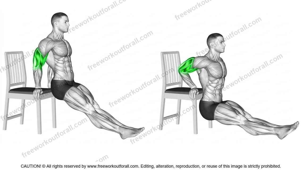 Tricep Bench Dips